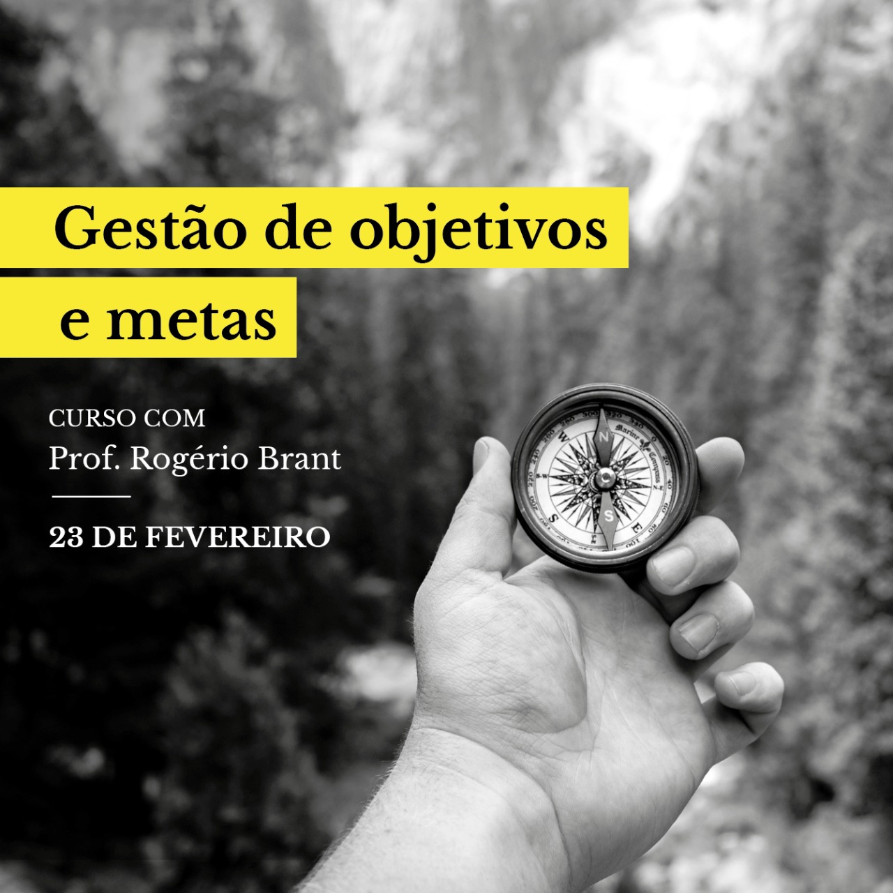 Gestão de objetivos e metas